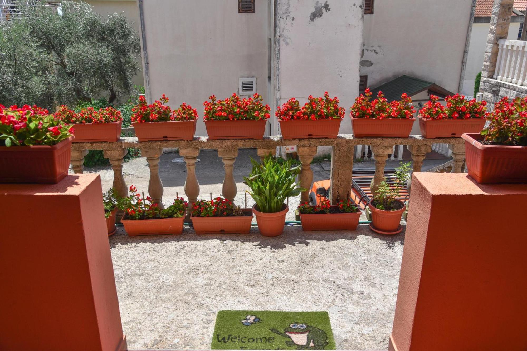 Vila Apartments Lidija Petrovac Buitenkant foto