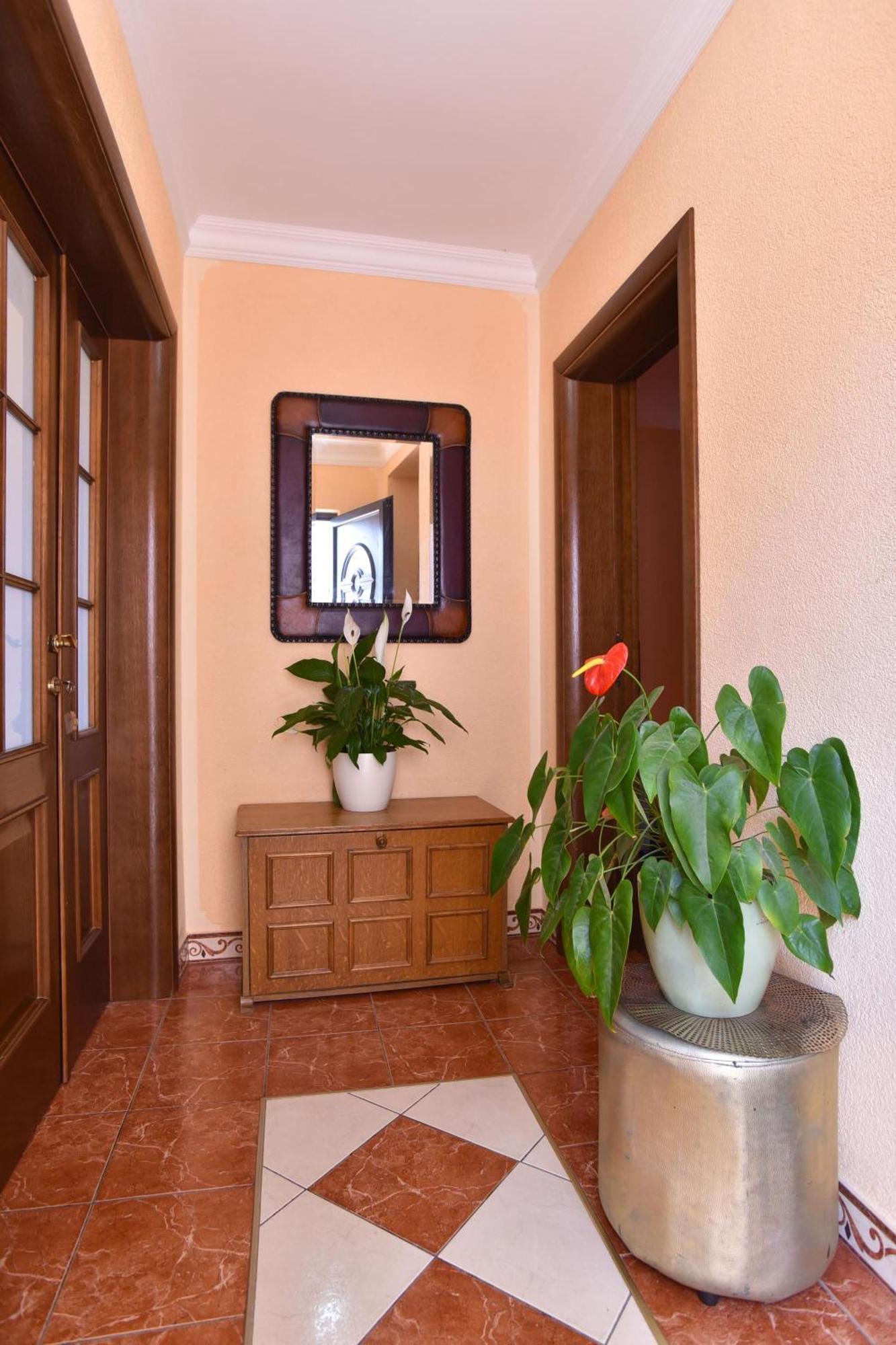 Vila Apartments Lidija Petrovac Buitenkant foto